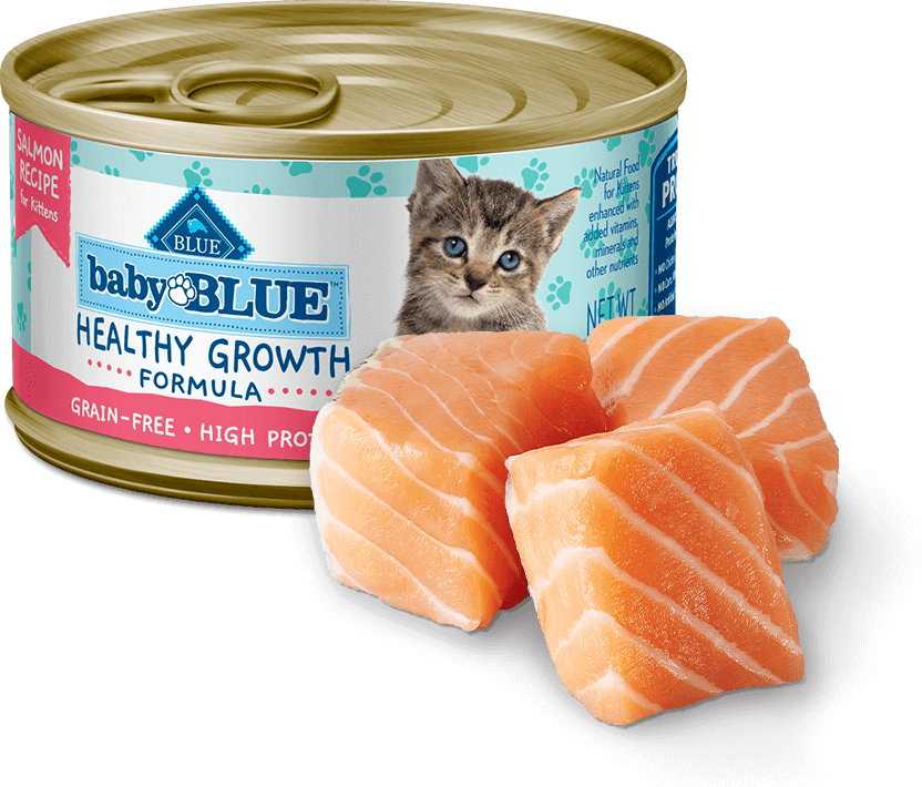 BLUE Buffalo Baby High-Protein, Grain-Free Salmon Recipe - Kitten